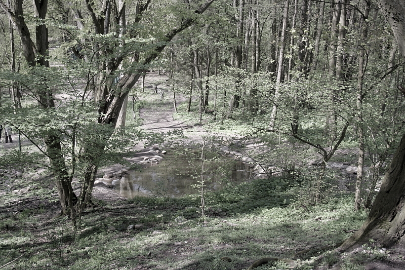 Killikus&reg; Fotographie